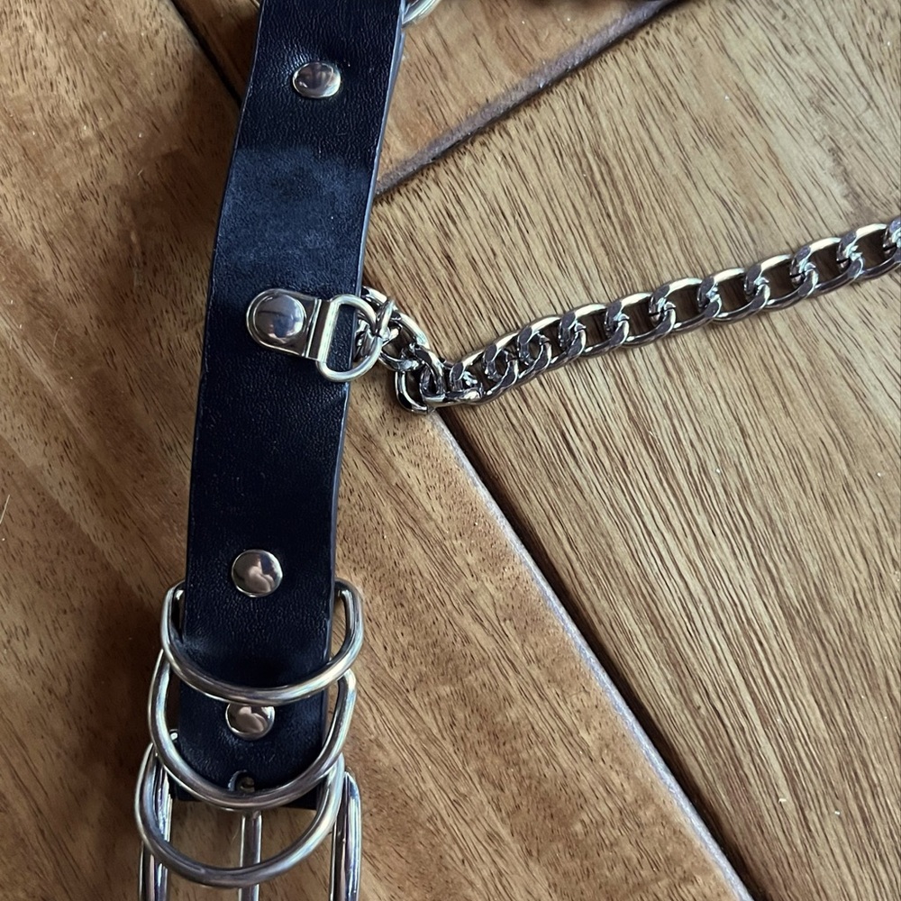 Chain Belt - Picture 2 of 3